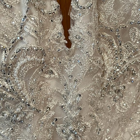 Maggie Sotterro Wedding Dress - Picture 8 of 11